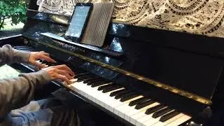 Samurai X - Trust and Betrayal - Sound of Snow Falling - Taku Iwasaki (Piano Solo)
