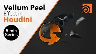 Vellum Peel Effect - Houdini