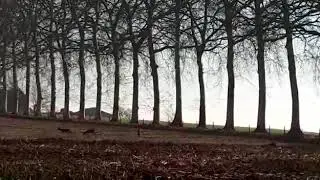 Mooi Ulestraten, zonnige lente ochtend 2019