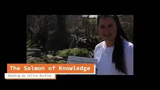 'The Salmon of Knowledge' retold and illustrated by Celina Buckley