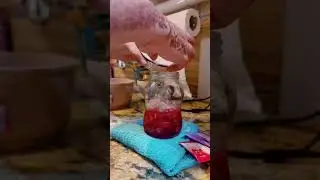 Very Berry Hibiscus Summer Refreshers Beverage Starbucks Inspired 🍓🍒🫐🌺