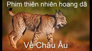 V&ugrave;ng đất kh&ocirc; cằn của Ch&acirc;u &Acirc;u | Phim thi&ecirc;n nhi&ecirc;n hoang d&atilde;