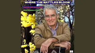 Two Dunedoo Set Tunes