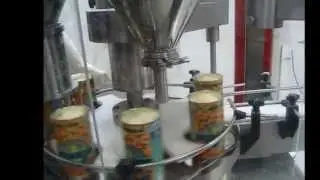 Filling Powder into Containers - Star Auger with the SpinDexer rotary indexing conveyors