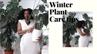 #PlantBae's Guide To Keeping Your Plants Alive In Winter| House Plants Care