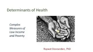 HSS1101 - 8.2 Complex Measures of Low Income and Poverty