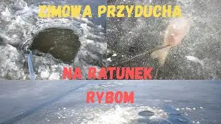 Zimowa Przyducha, Napowietrzacz Stawu Zimą, Na Ratunek Rybom