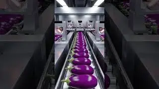 You Won&rsquo;t Believe How Giant Eggplants Are Turned Into Dried Eggplant