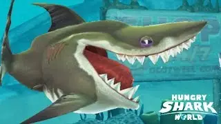 MEGA MAX ROYAL MEGALODON - Hungry Shark World