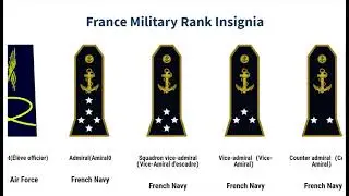 France Military Rank Insignia