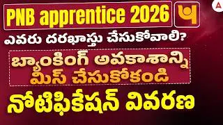 PNB Apprentice 2026 || Apprentice Notification Explained