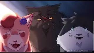 Next up forever warriors cats map