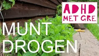 ADHD_MET_GRE 001: Munt drogen met de voedseldroger