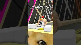 Slide down 999 Miles #pmdamiann #roblox #robloxanimation