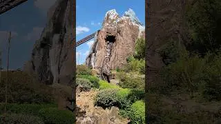 Expedition Everest at Disney's Animal Kingdom is beautiful! #disneyworld #rollercoaster #themepark