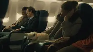 World war Z Plane crash clip in Hindi 1080p full HD