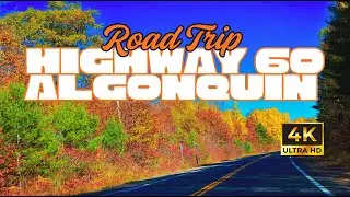 Highway 60 Algonquin Park Road Trip | Stunning Fall Views & Scenic Drive
