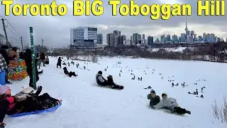 Toronto TOBOGGAN Hill Sledding at Snowy Riverdale Park