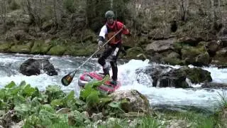 Mario vils