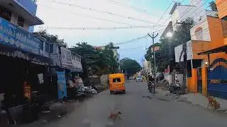 Little Puppy Risky Road Crossing🐕Street Dog Issue| Sudden Brake helped|Dangerous for humans and Dogs