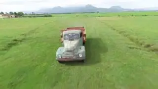Ford FK 3500 1952 motor V8 -  Truck Old Running, Relic, Gasoline V8 Engine.