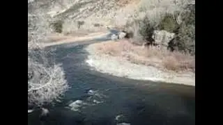Arkansas River Fishing Report with ArkAnglers