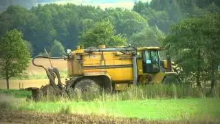 Challenger Terra Gator mit einer Kurzscheibenegge || MAS || HD