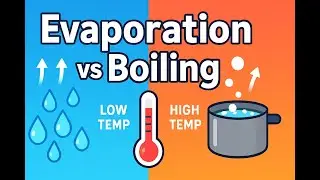 Evaporation vs Boiling Explained - Physics Made Simple