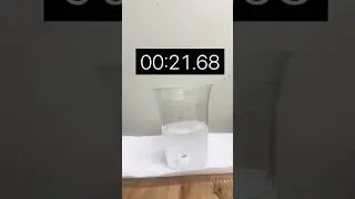 Can AirPods 3 Survive Sparkling Water?!?