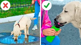 Incredible Hacks For Pet Owners || Must Have Gadgets For Your Pets