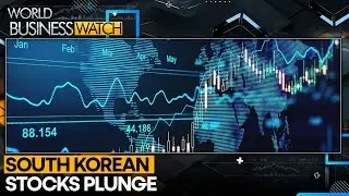 Political Turmoil Roils South Korean Markets | World Business Watch