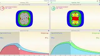 Spring sale of Colournostics toolkit and proof of changes after 1 hour session