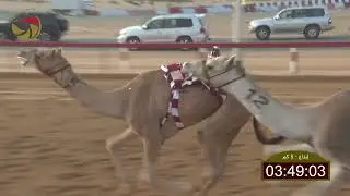 سباق الإيذاع – لهباب 28-12-2025 ش12 نجد لـ راشد سعيد مبارك مجرن الفلاسي  7:42