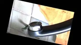 3Raum Bulli / 3 Raum Bulli / 3RaumBulli / Manni