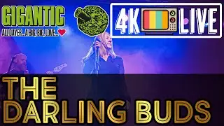 The Darling Buds - It makes no difference, live 4k Bristol 2025