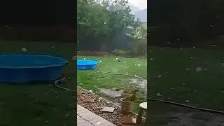 Shocking shots #youtube #shocking #weather