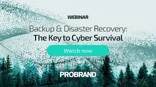 Backup & Disaster Recovery: The Key to Cyber Survival