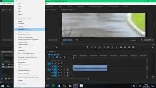 Desentrelazar Premiere
