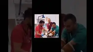 cat at vet do you know linda did you bite her garfield cats animals pets #cat #cats #pets #animals