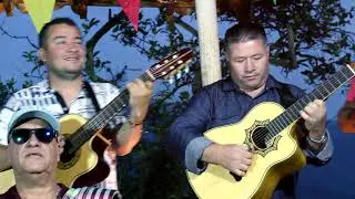 LA PELAITA