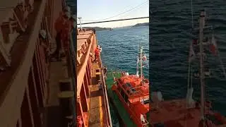 BASIC BOARDING OF A SHIPS PILOT