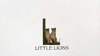 The Croft Bexleyheath - Little Lions Room