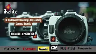 Ikelite DL Underwater Housings for Sony, Canon, Nikon, OM-System & More