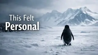 The Penguin Wasn&rsquo;t Lost &mdash; We Are | Why This Viral Penguin Feels Too Real #penguin #trending #viral 