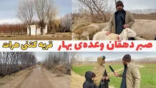 برنامه جالب از حال واحوال دهقانان درفصل زمستان هرات 