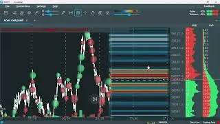 Ingresando a Bookmap, visualizar 24 horas de datos historicos