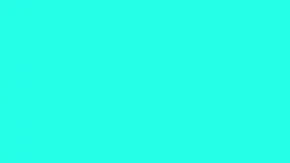 Crocus Purple  Screen 💮💮 1 Hour  &reg;   🎨 🔴🟡🔵🟢