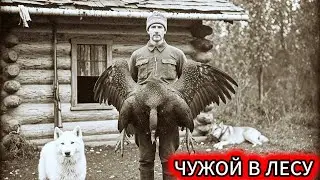 Эти СЛЕДЫ у костра ШОКИРОВАЛИ егерей! Куда пропал НЕЗВАНЫЙ ГОСТЬ?