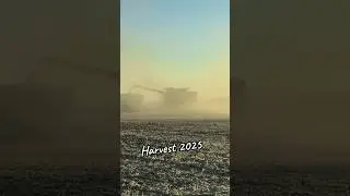 Soybean Harvest 2025 #agriculture #farmlife #fyp #edit #combine #2025 #machinery #farming #viral #MI