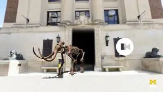 MGoView - Augmented Reality Experience